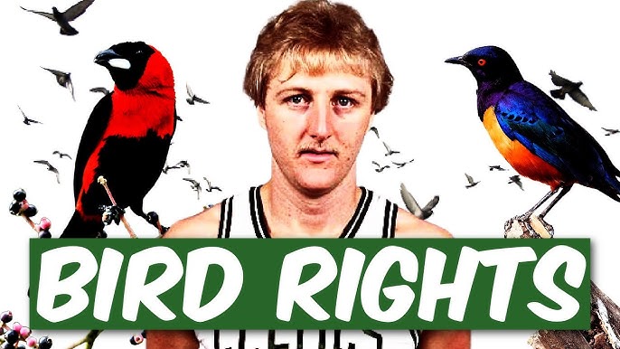How to use bird rights in the NBA？ Tips from experts