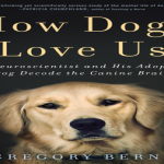 A Good Day to Be a Dog Episode Recap: The Midnight Transformation and Heartfelt Moments