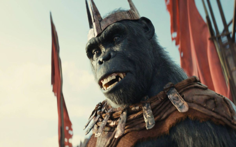 Is Pleasure or Pain Your Type? Find 13 Similar Movies Now!